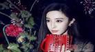 娱乐大明星养成系统