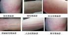 荨荨善诱免费阅读全文