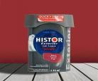 history那一天原著小说