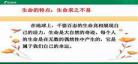 永恒的生命严文井背景