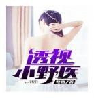透视小村医下载txt免费下载