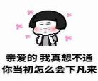 你不准撩曲小蛐